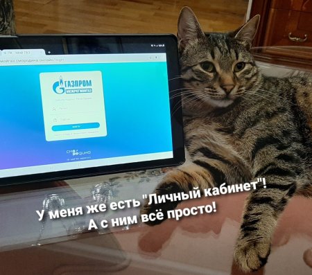 ПОРА ПЕРЕДАВАТЬ ПОКАЗАНИЯ СЧЕТЧИКА ГАЗА!                                                                                                                 